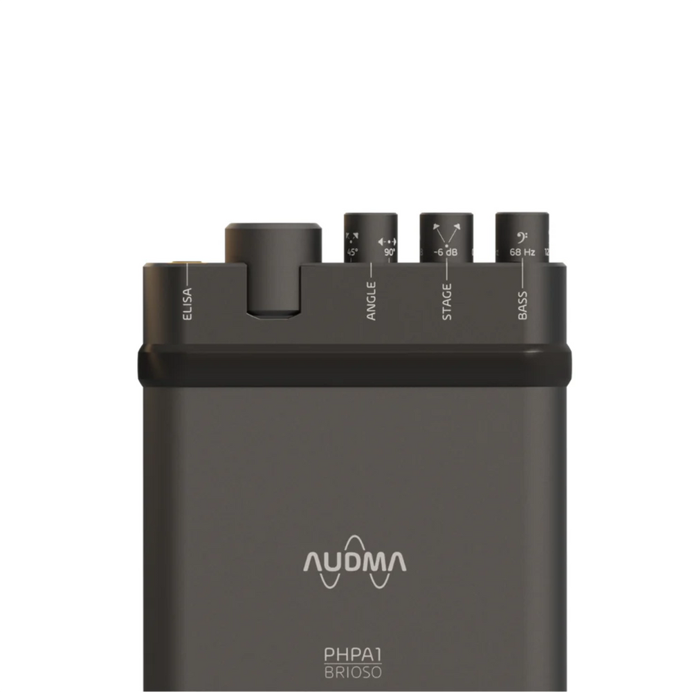 Audma Brioso portable amplifier front top half center whitebox