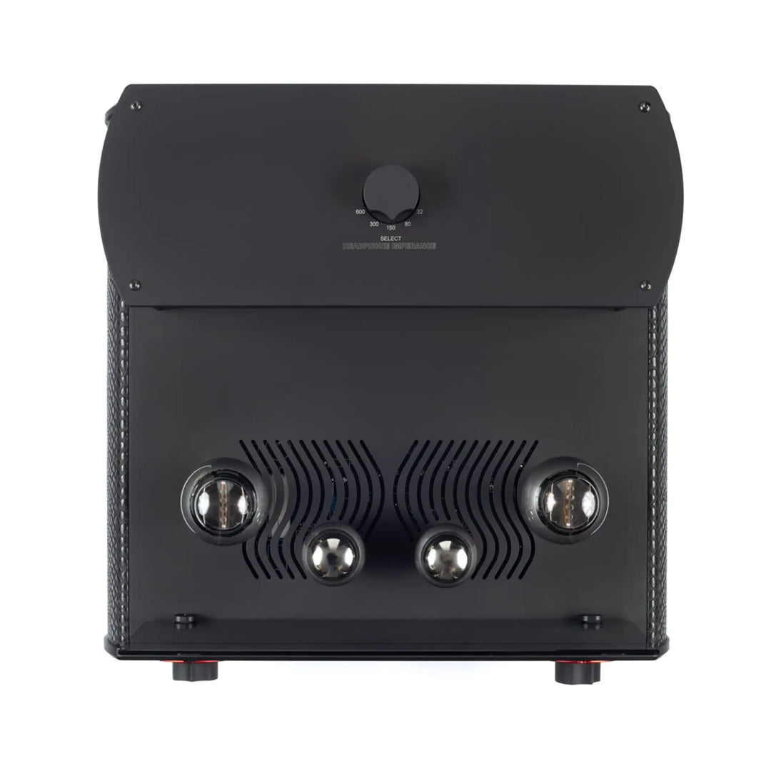 Auris Headonia 300B top bird&