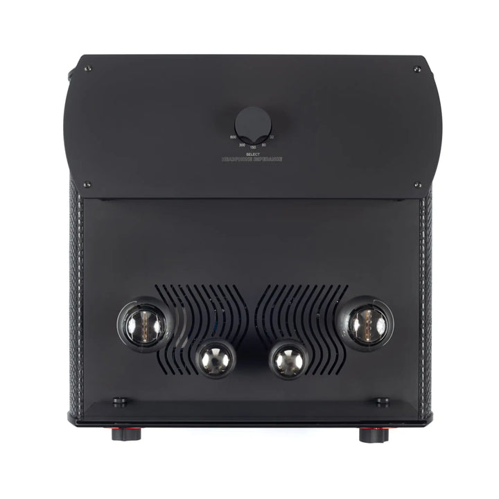 Auris Headonia 300B top bird&