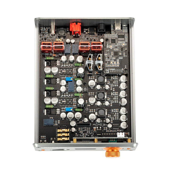 Burson Audio Playmate 3 top bird&