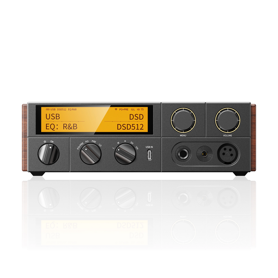 FiiO K17 R2R black front center whitebox