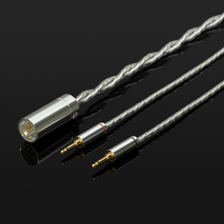 Final Audio DX10000 CL Collectors Edition | Closed-Back Dynamic Headphones
