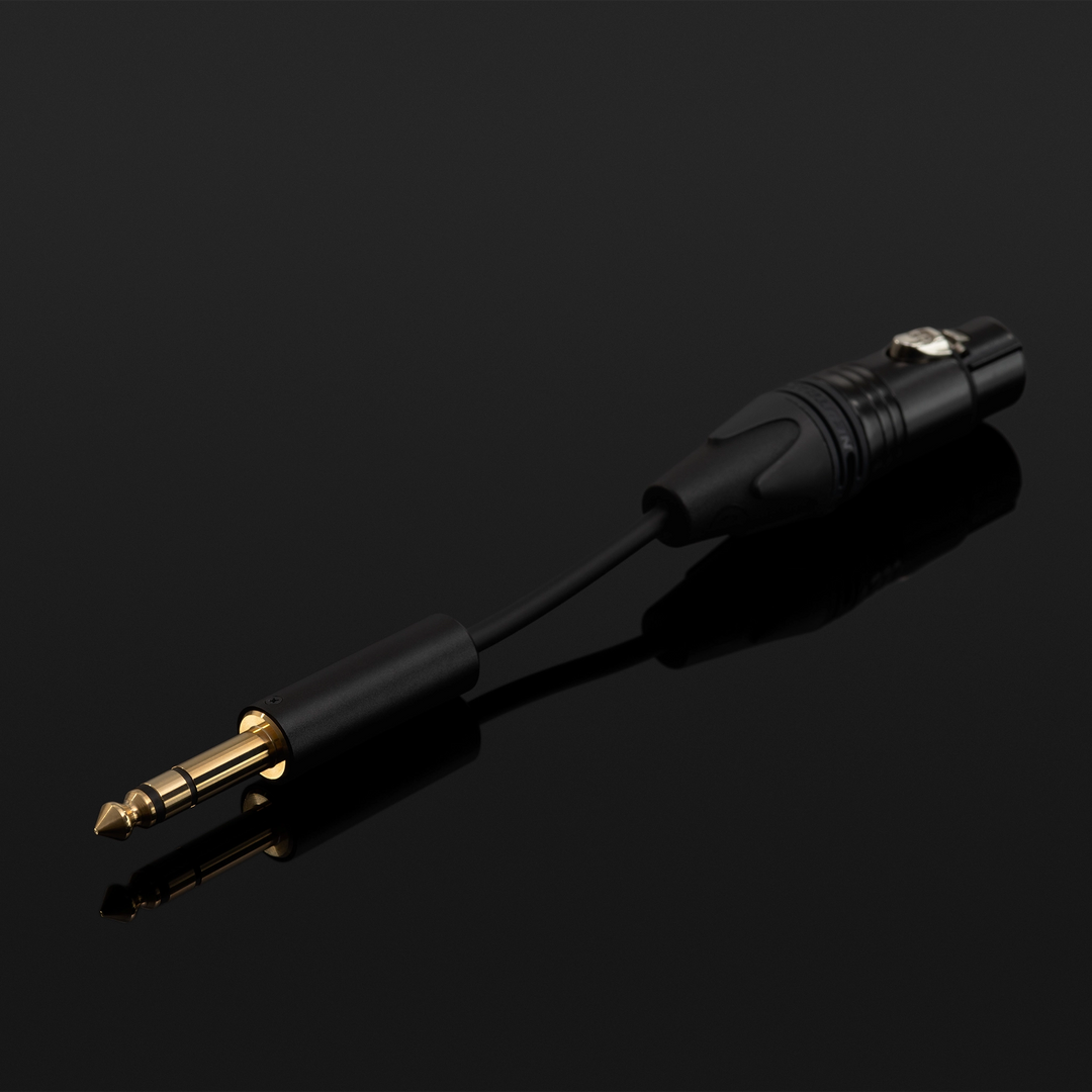 Final Audio DX10000 CL Collectors Edition | Closed-Back Dynamic Headphones