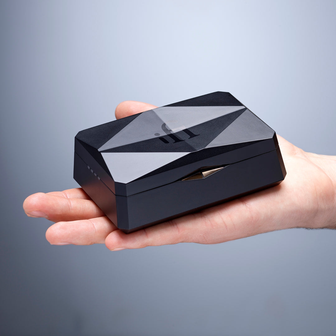 iFi GO Pod case sitting in palm of hand