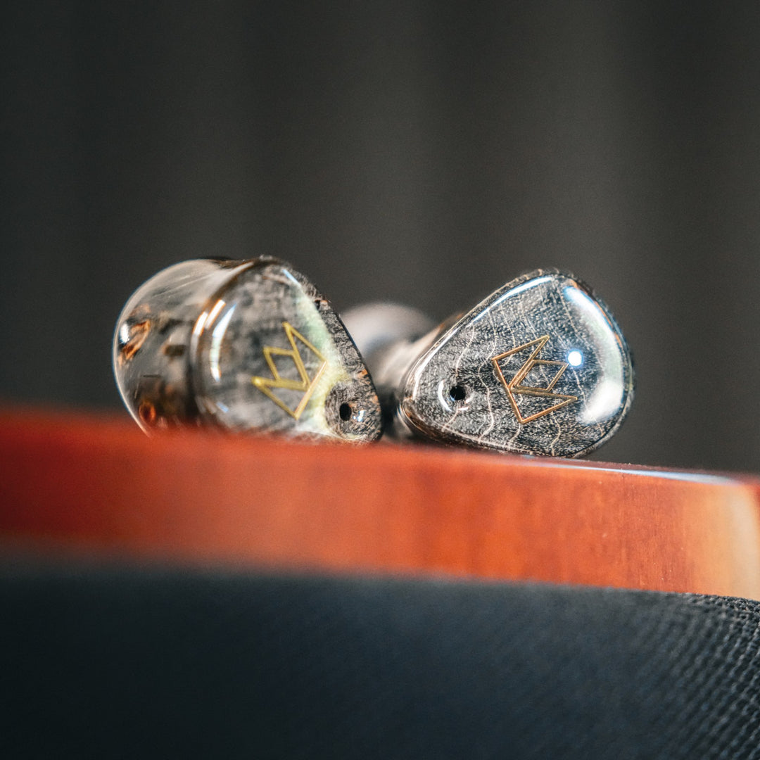 Noble Audio FoKus Prestige TWS | True Wireless Hi-Fi Earphones-Bloom Audio