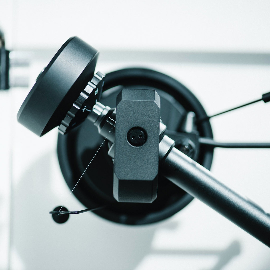 Pro-Ject XA B bird&