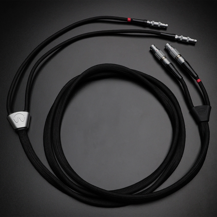 Warwick Acoustics Aperio GoldenSound Edition | Electrostatic Reference Headphone System