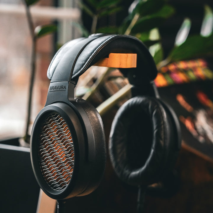 Warwick Acoustics Bravura black headphone on stand front quarter with plant in background