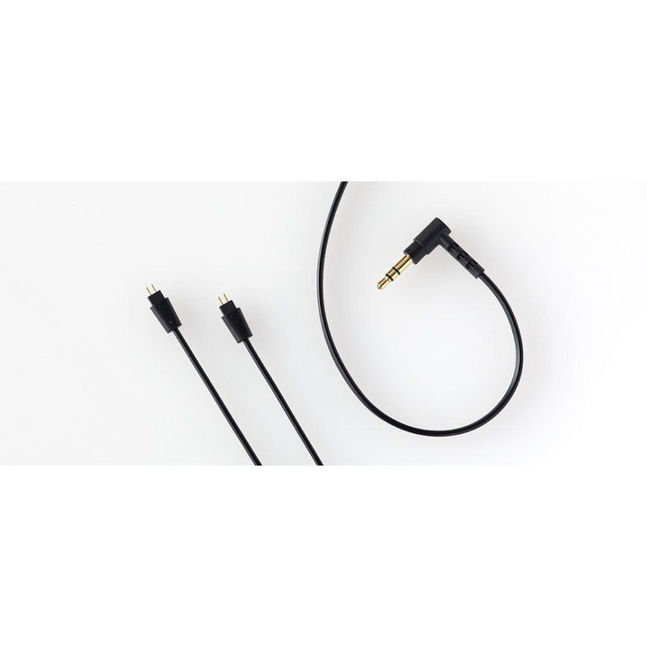 Final Audio A3000 | Dynamic Driver IEM-Bloom Audio